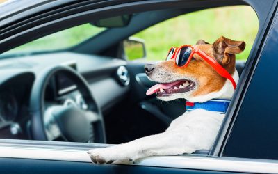 #24 – Distintas figuras en el contrato de seguro del coche (3)